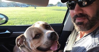 Hero dog dies after he wakes up teenage owner and helps her flee house fire