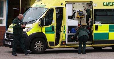 Ambulance responses and A&E waits hit worst on record as possible doctors strikes loom