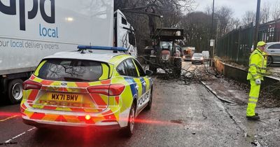 Specialists cut DPD lorry free from tree after it got stuck on branch