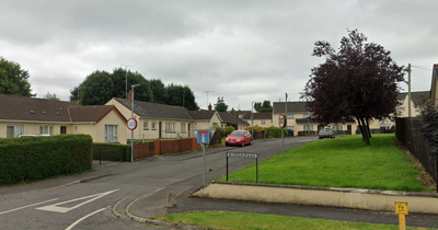 Man 'slashed with knife' and robbed while walking dog in Co Tyrone