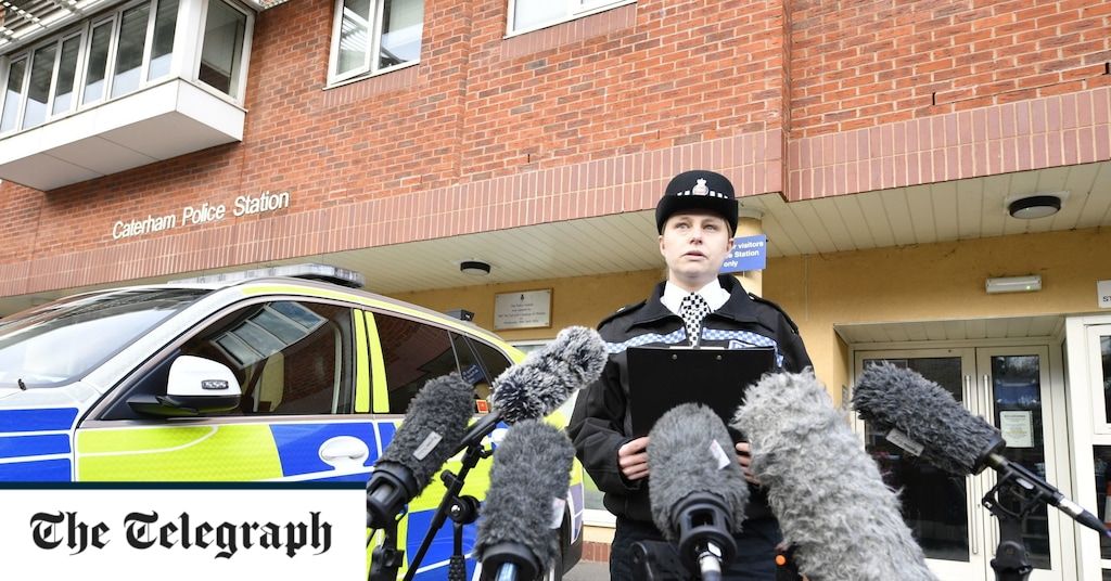 Dog walker killed by dogs who turned on her in 'frenzy'