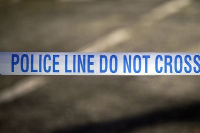 Woman in her 20s dead after reports of dog attack