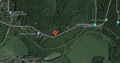 'Dog attack' leaves woman in her 20s dead and another in hospital