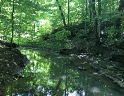 Bernheim, LG&E offer closing arguments in trial to seize conservation lands
