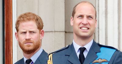 Prince Harry says distance between brother 'wouldn't be the same' if Diana was alive