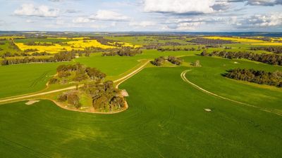 Kojonup mixed farm sells for state record of $100 million, experts say WA farmland could be highly undervalued