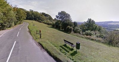 Young woman dies after horror dog attack with police detaining seven animals