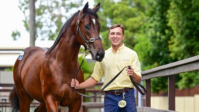 Magic Millions Yearling Sale record broken three times in three days