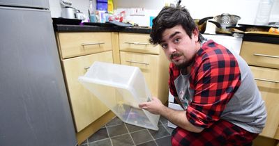 Dad cooking young son's tea horrified as rat appears in kitchen next to him