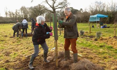 Country diary: The joy of growing something from nothing