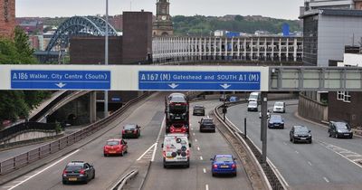 Call to replace Newcastle's Central Motorway with tree-lined boulevard for walkers and cyclists