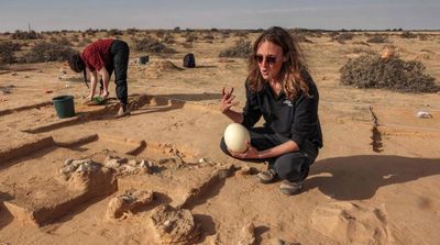 Ancient Ostrich Eggs Found in Israeli Desert