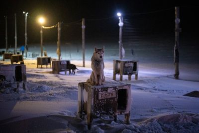 AP Week in Pictures: Europe and Africa