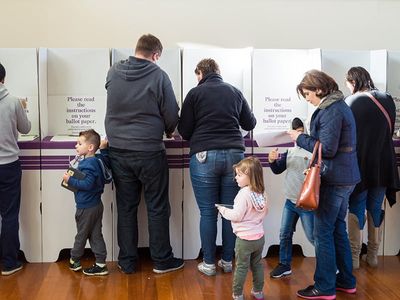 ‘Violation of rights’: Blind bear brunt of NSW’s digital voting retreat