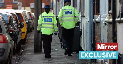 PCSO numbers halve under Tories as people less likely to see officers on beat