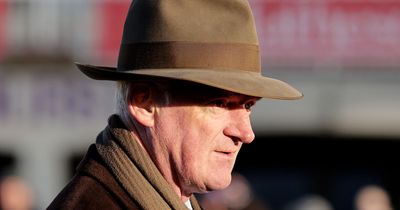 Willie Mullins-trained horse attracting Cheltenham Festival support as odds cut