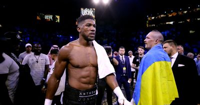 Anthony Joshua warned his career will be over if he loses return fight