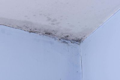 Thousands of complaints about leaks, damp and mould in social housing in England