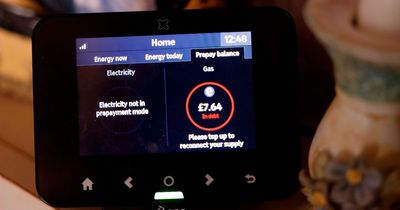 Smart meter owners issued warning as ban called for 'forced' switch to prepayment