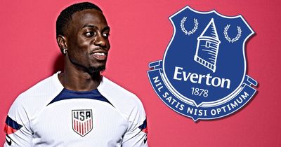 Timothy Weah transfer could provide the supply line Everton's strikers desperately need