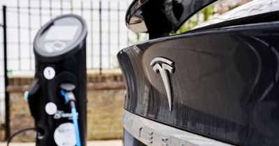 Tesla slashes prices of its cars by thousands - leaving new owners fuming