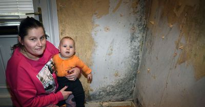 Mum's hell as her three kids prescribed inhalers for breathing problems in mouldy home