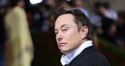 Elon Musk loses $180billion in just over a year, Guinness World Records claims