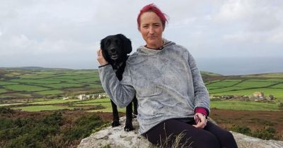 Dog sniffs out lost pooch at bottom of hole after search team failed to find her