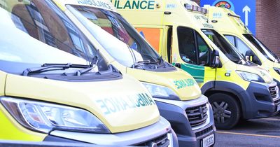 Hundreds of patients in Nottinghamshire ambulances wait over an hour to be handed over