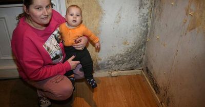 Mum says six-month-old baby 'on steroid inhaler' because of mould in their home
