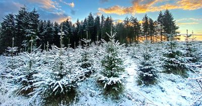 Northern Ireland snow: Met Office warns wintery weather ahead as temperatures dip