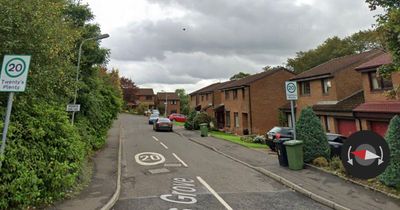 Audi and Mini Cooper stolen from driveway of Lenzie home as thieves broke window to steal keys