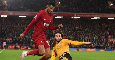 Liverpool handed Wolves incentive as Brighton FA Cup path becomes clear