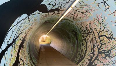 Glen Ellyn pedestrian tunnel is filled with trees, thanks to Pilsen artist’s mural