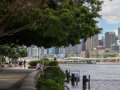 Greener cities equal 'healthier hearts'