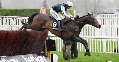 Cheltenham Gold Cup second favourite L'Homme Presse ruled out of the race