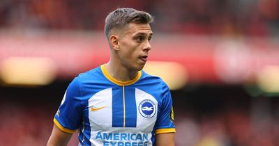 Chelsea and Tottenham on alert as Leandro Trossard's agent releases Brighton transfer statement