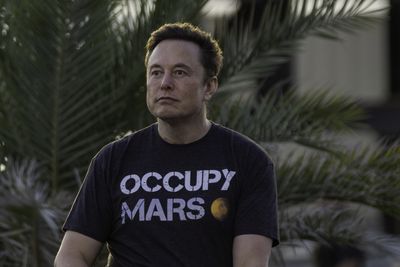 Elon Musk's buddies in Silicon Valley are predicting he will emerge laughing from his year of record-breaking wealth destruction