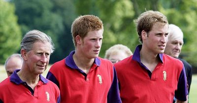 Prince Harry's secret 'technique' for trying to win back Charles and William's trust