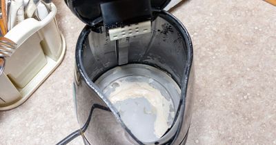 Kettle expert reveals hack for removing limescale using just two products