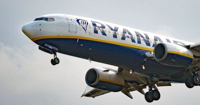 Ryanair gives funny response to passenger's complaint about missing seat pockets on flights