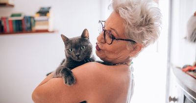 Neighbour insists grandma change cat's name as it's 'offensive to women'