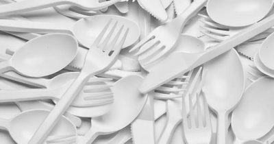 Single-use plastic plates, trays and cutlery set to be banned in England from October
