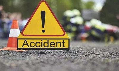Assam: Three Killed After Truck Hits People, Falls Into Gorge In Kaziranga