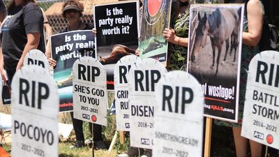 Protesters call for end to racing at Perth Cup rerun two weeks on from New Year's Day horse death