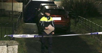 Man stabbed to death in Finglas named locally as gardai probe drugs angle