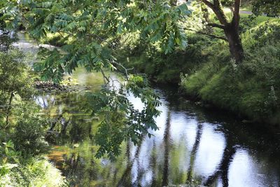 Smart eco-solution to reduce phosphorus in waterways