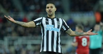 Aleksandar Mitrovic namedrops St James' Park as favourite away ground ahead of Newcastle reunion