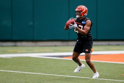 Bengals make roster moves before playoff game vs. Ravens
