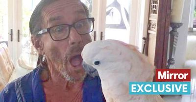 Iggy Pop's noisy cockatoo Biggy Pop drives rocker out of his mansion for peace and quiet